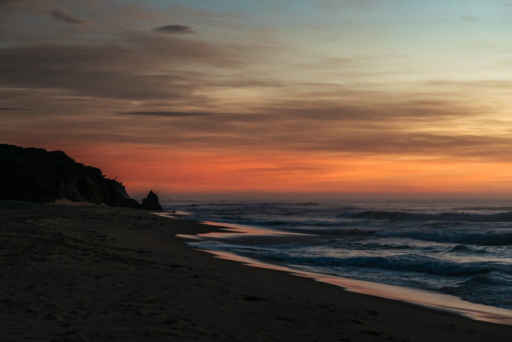 mimosa rocks national park