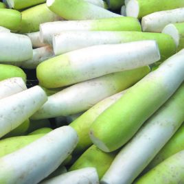 Daikon