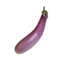 Chinese Eggplant