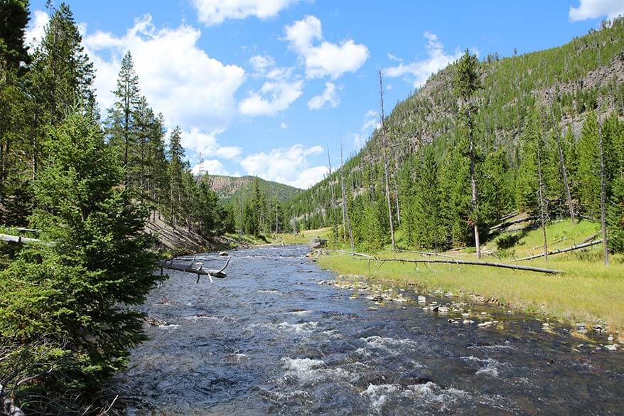 Gibbon River in Yellowstone in July