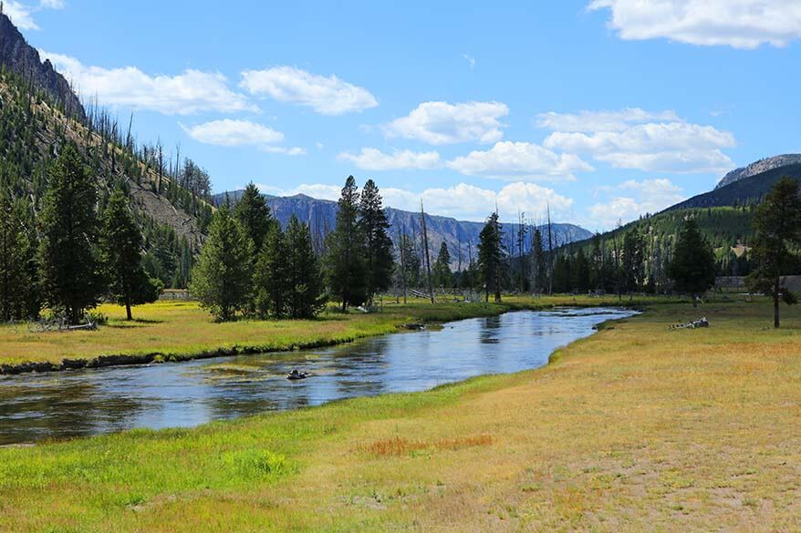 Green landscapes of Yellowstone National Park in July