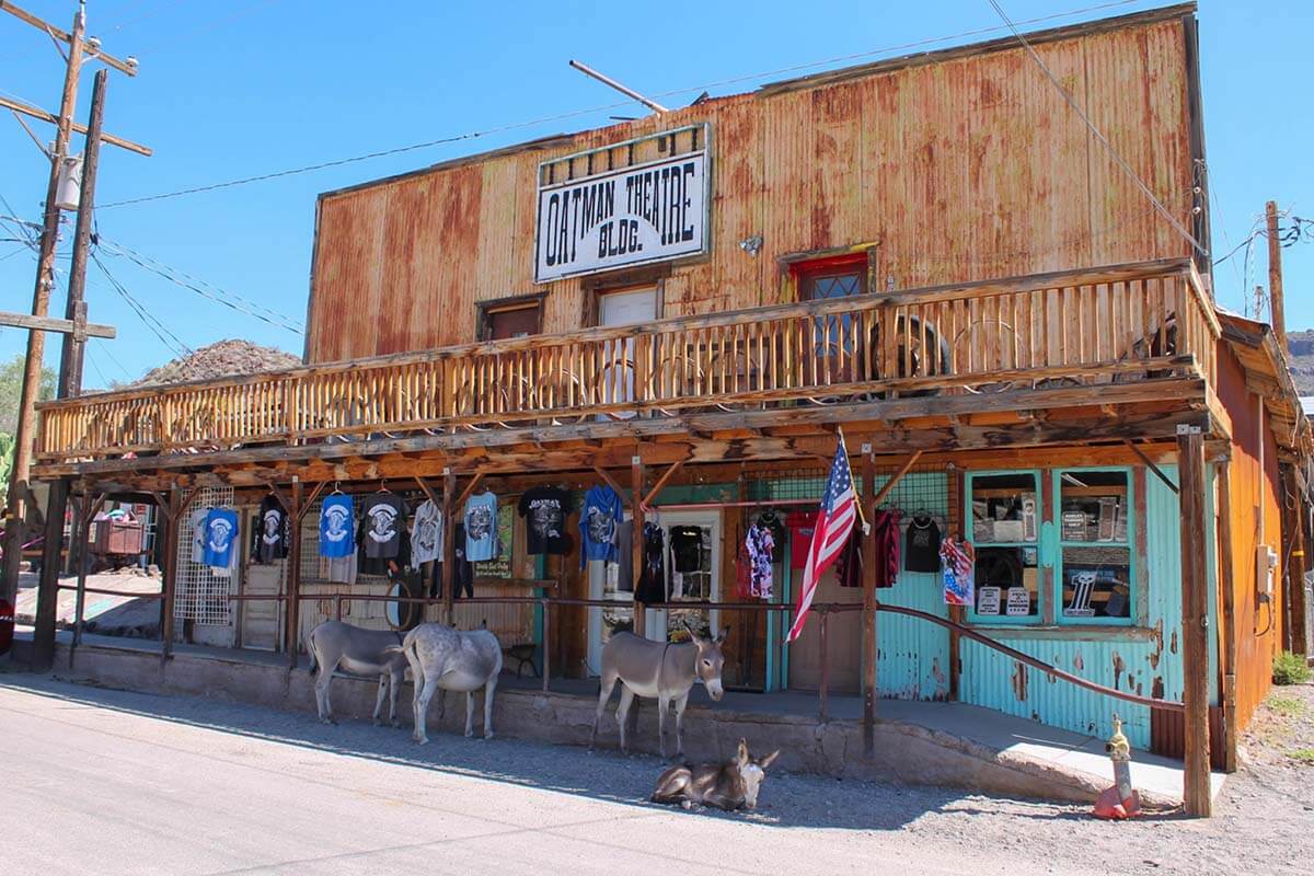 Wild burros in Oatman Arizona