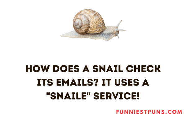 Funny Snail Puns