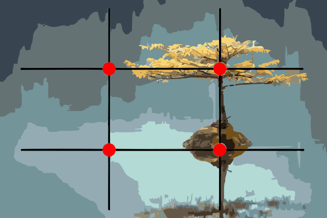 Rule of Thirds Explained for Beginner Photographers