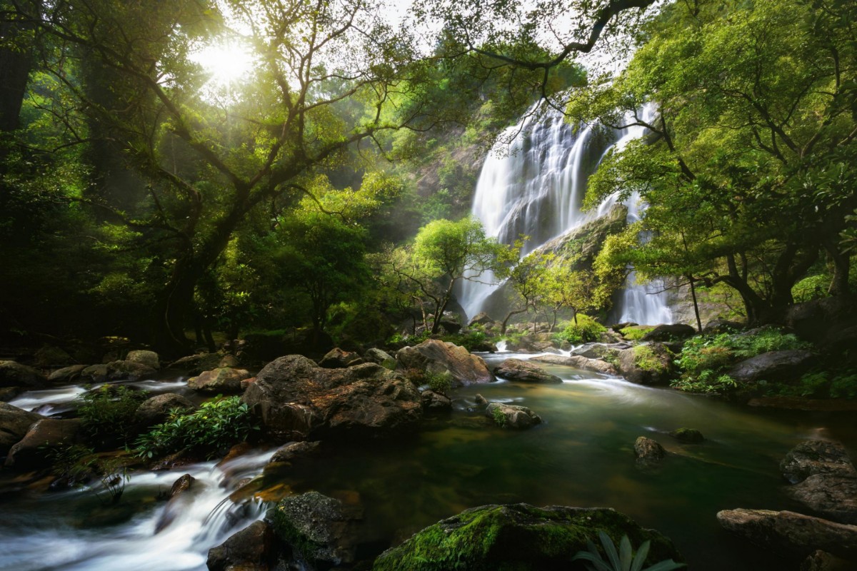 Picture of Mountain stream