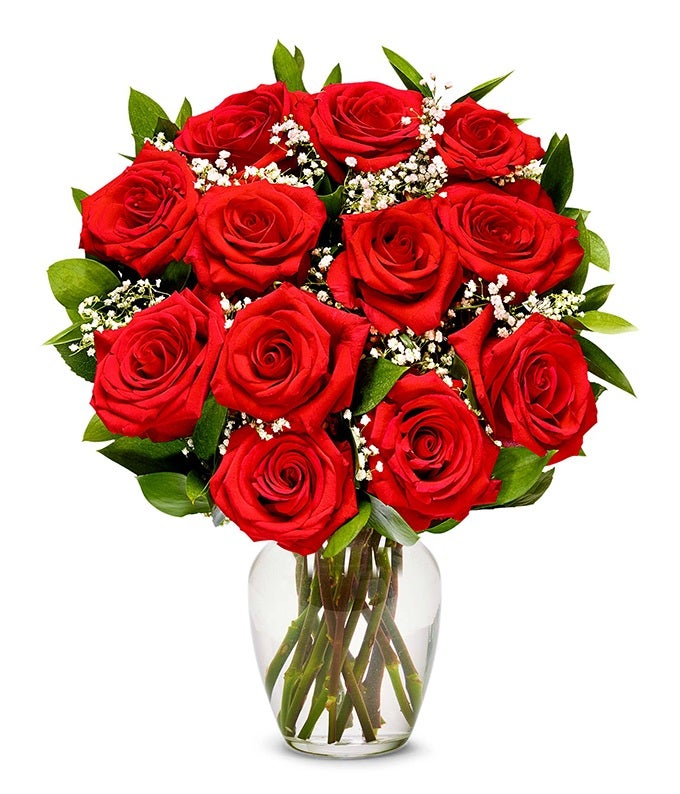 Premium One Dozen Long Stemmed Red Roses at From You Flowers