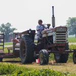 farmer on a field