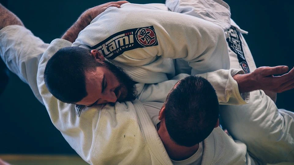 Jiu Jitsu: Master Self-Defense in the Arts - Galerie DU