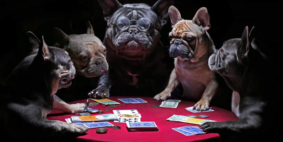 82 of the Funniest Quotes About Gambling