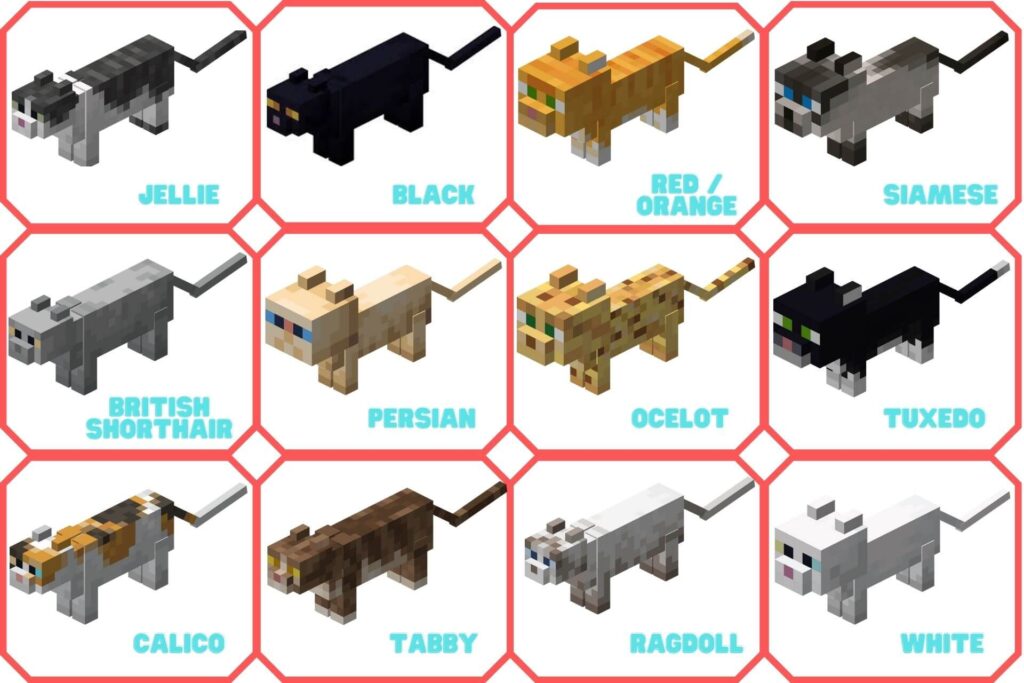 Cat Types Minecraft Names