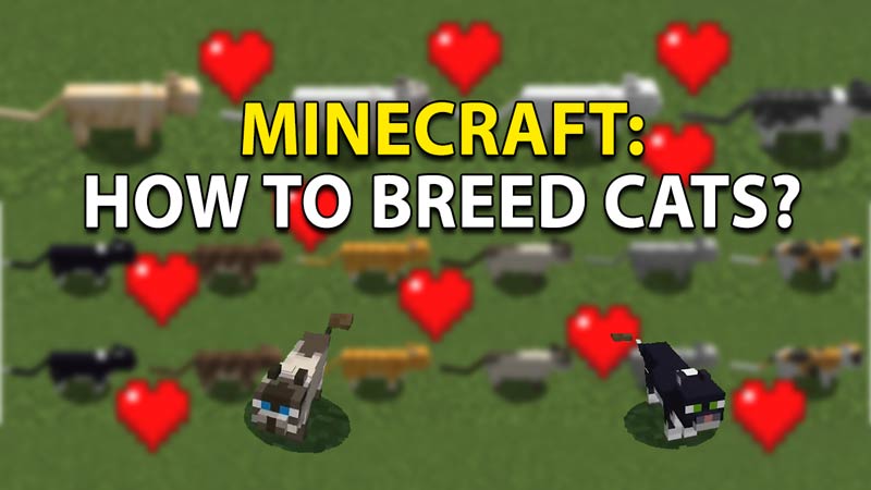 How To Breed Cats In Minecraft