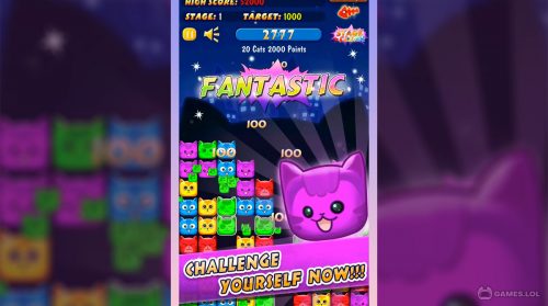 pop cat gameplay on pc