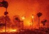 Incendi di Los Angeles Sony e PlayStation Studios annunciano donazione