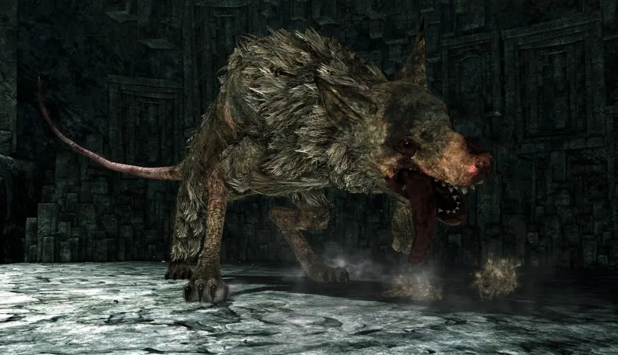 Royal Rat Authority  - Dark Souls 2 Bosses