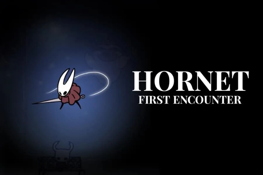 Hornet FE.jpg