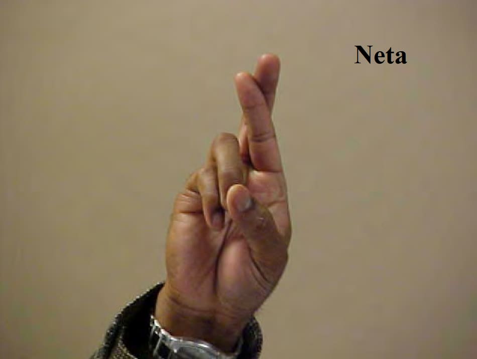 Neta gang sign