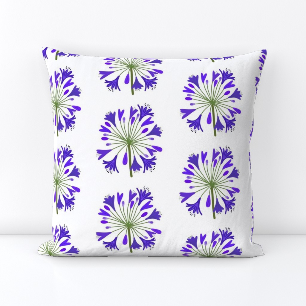 Summer Agapanthus Blooms - Sapphire Indigo on white, large 