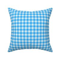 Erskine dress tartan, 1" sky blue