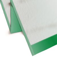 21" x 42"  ombre gradient mint green #009744 to white