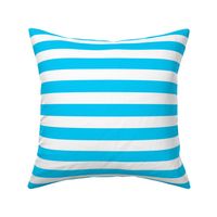 1 inch blue white stripes