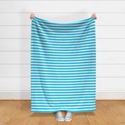 1 inch blue white stripes