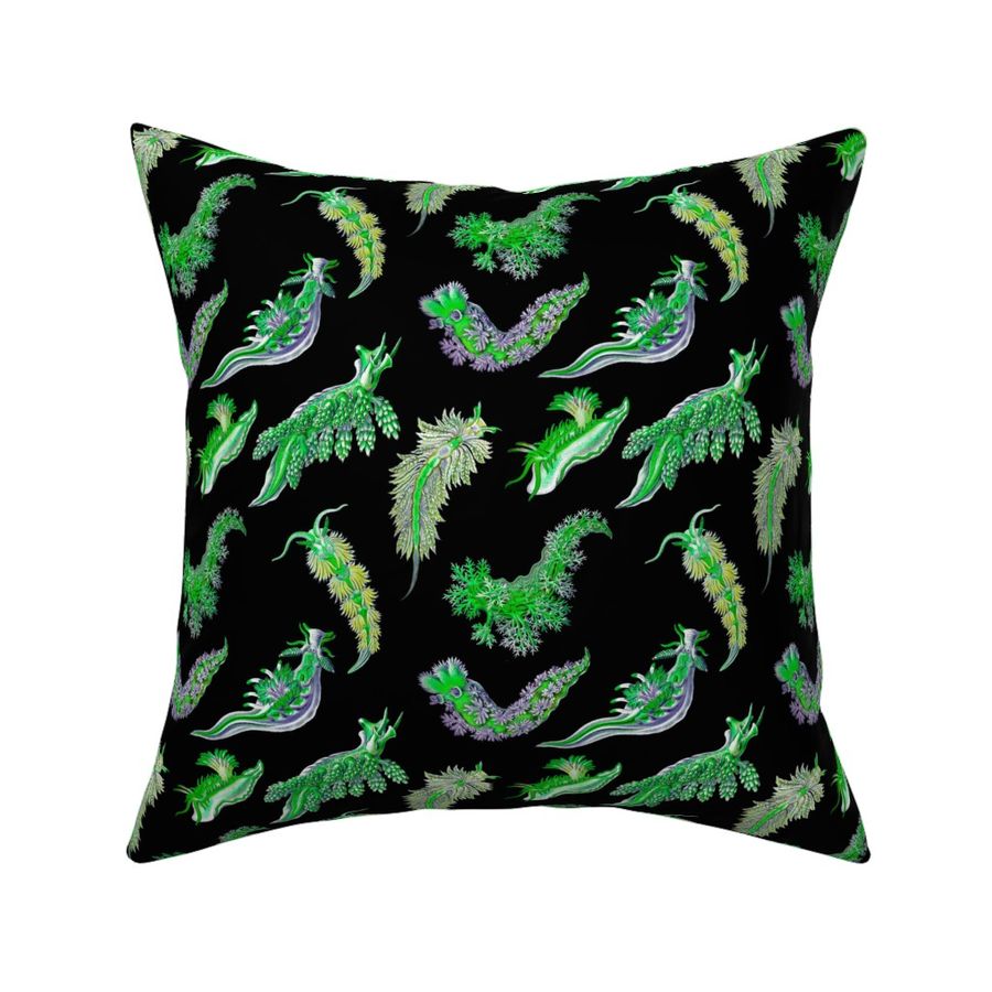 Ernst Haeckel Green Nudibranch Black Background