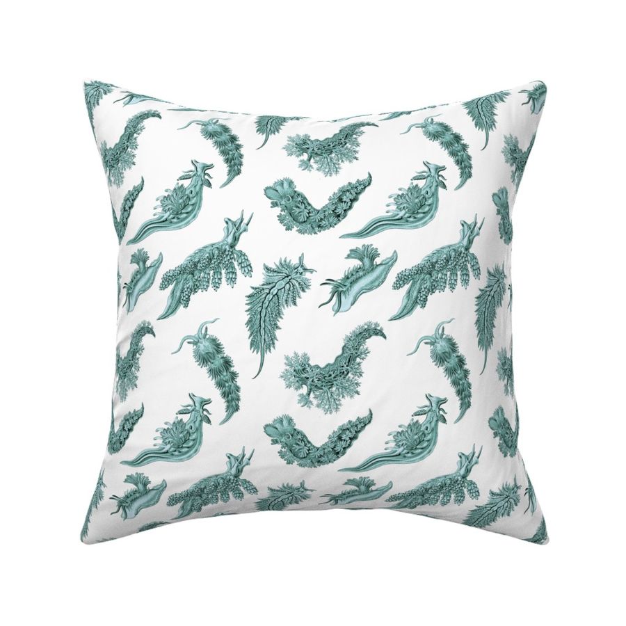 Ernst Haeckel Aqua Nudibranch on White