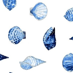 Indigo Shells