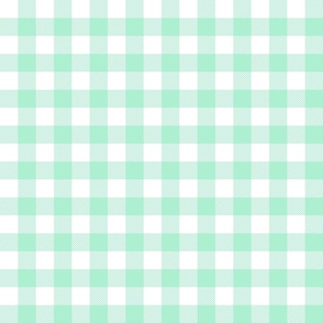 1" mint gingham