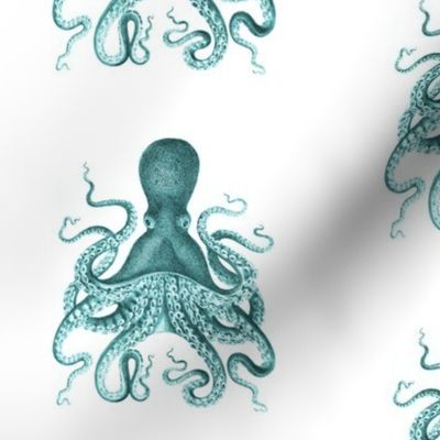 Octopus  Kraken in Teal