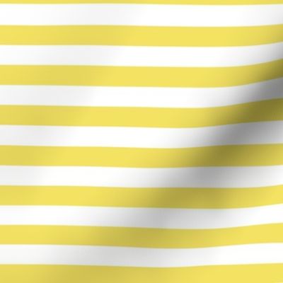 Bigger Scale 1/2 Inch Stripe Buttercup and White Coordinate Matches Spoonflower Petal Solid