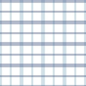 Gingham white and Blue