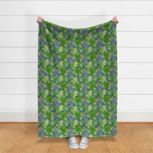 Succulents-Teal-Large Scale