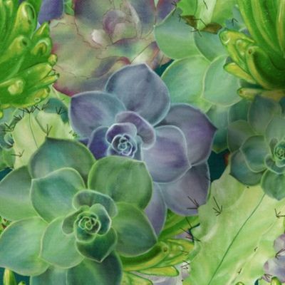 Succulents-Teal-Large Scale