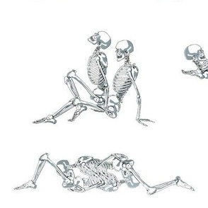 Skeleton Love on White