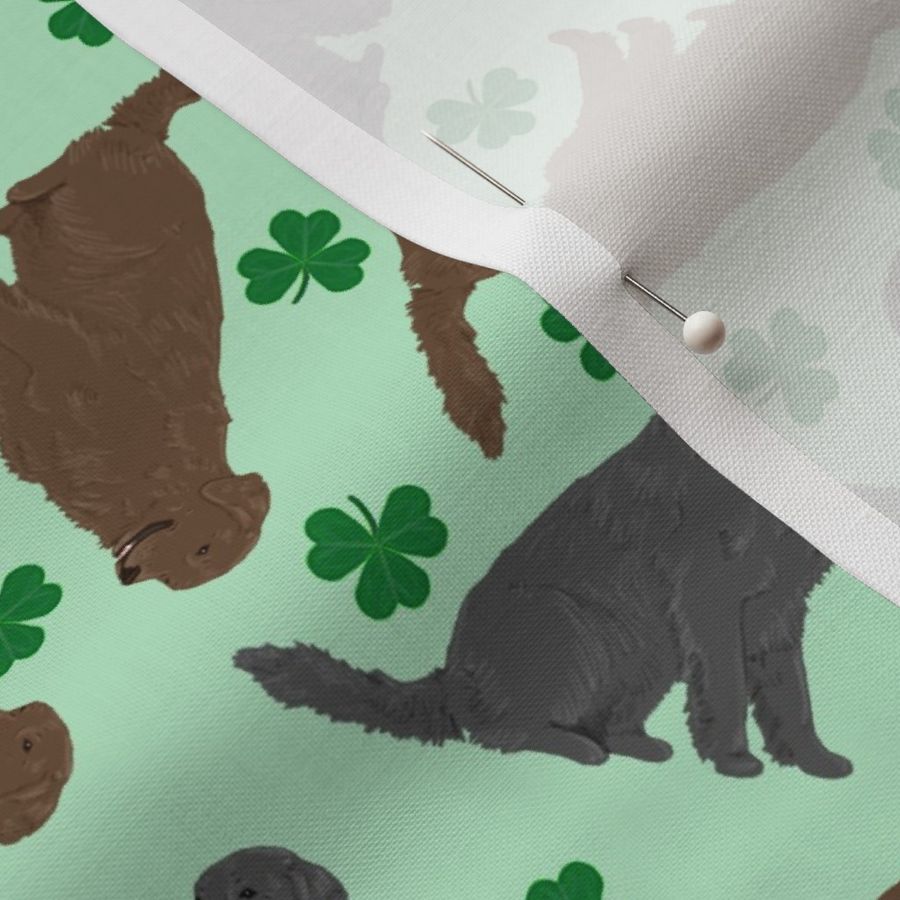 Tiny Flat Coated Retrievers - shamrocks