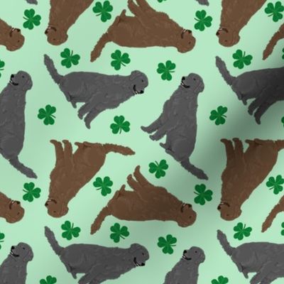 Tiny Flat Coated Retrievers - shamrocks