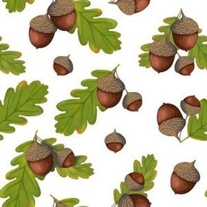 acorns_pattern2-white