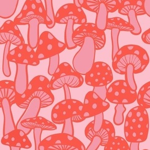 Pink mushrooms