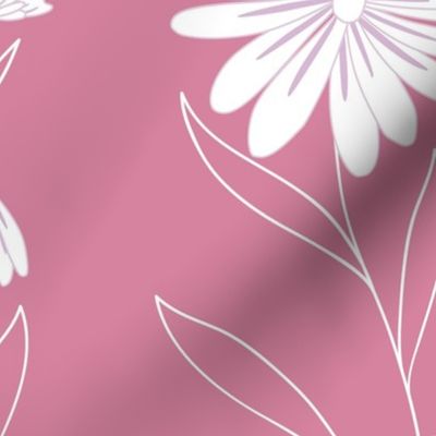 RETRO Daisies- ROSE