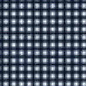 gingham check-navy blue