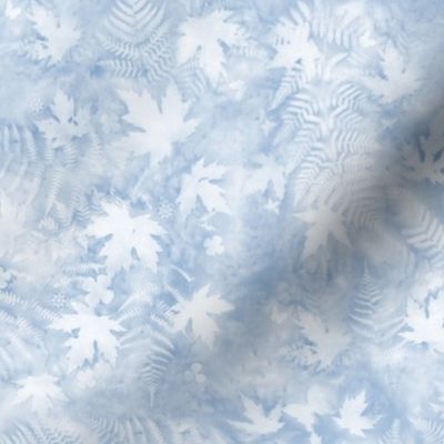 Medium Shades of Sky Blue Ferns and Maples Sunprints