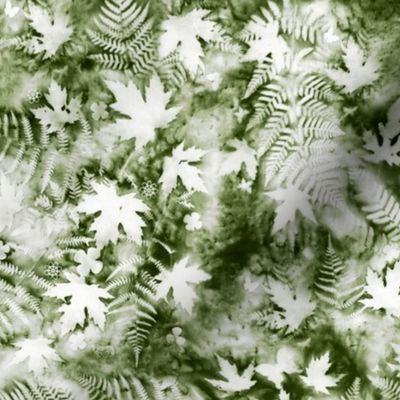 Medium Shades of Dark Moss Green and White Ferns and Maples Sunprints