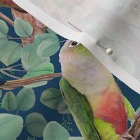 conure pattern-deep blue