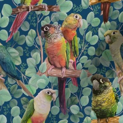 conure pattern-deep blue