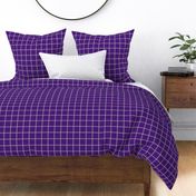 Purple and Gray Checkered Windowpane Plaid