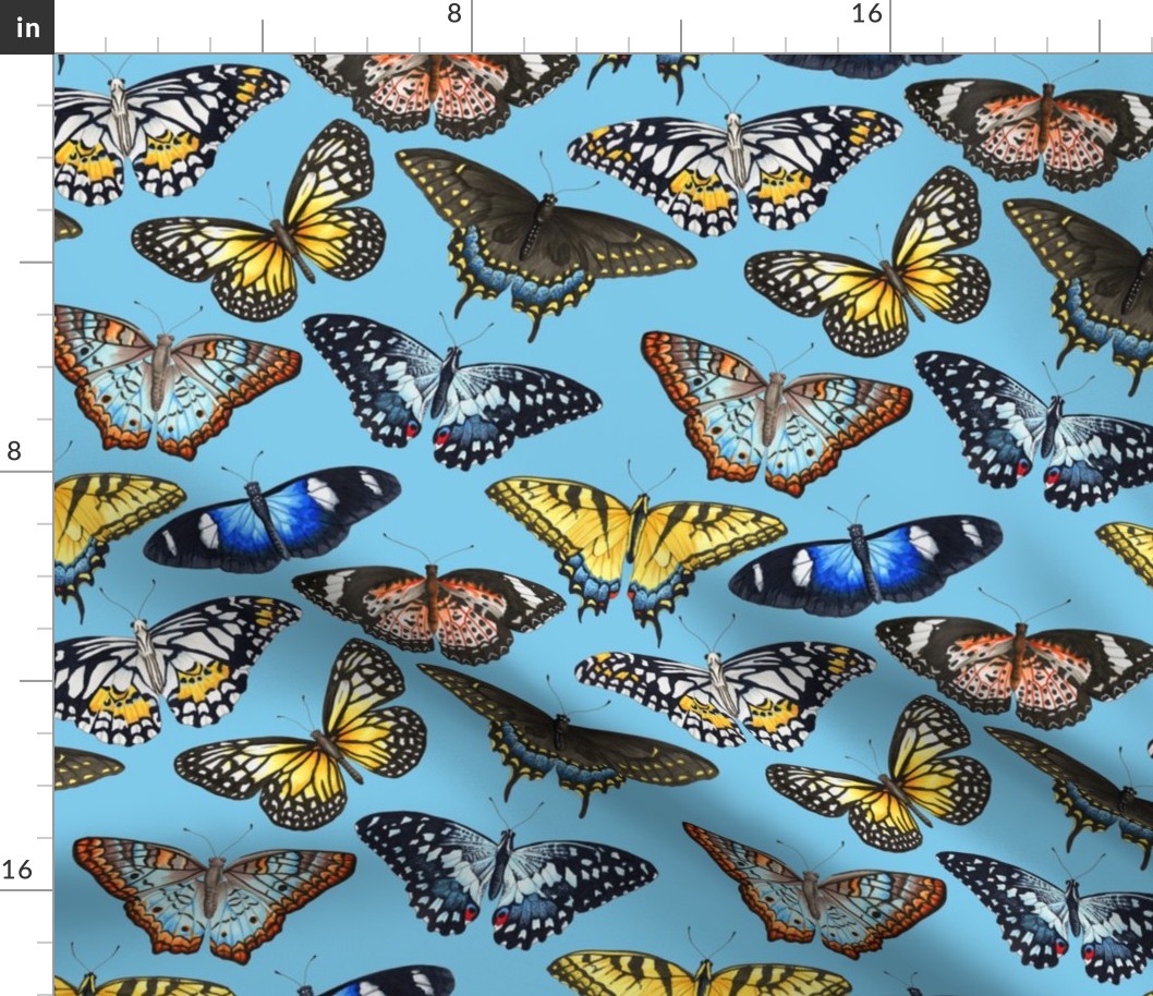 Butterflies - Blue