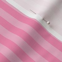 Preppy Pink and Light Pink stripes