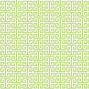 182 217 106 light lime