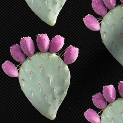 prickly pear with berries - black